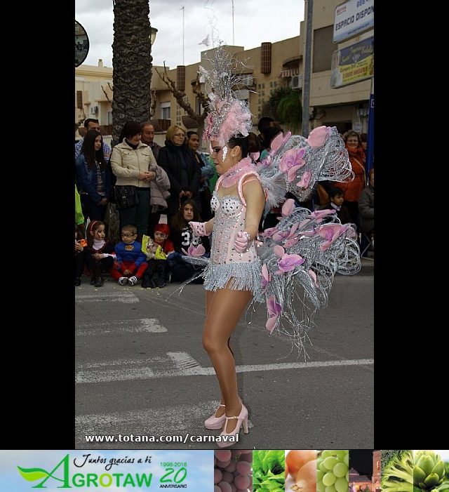 Desfile de Carnaval. Totana 2014 - 31