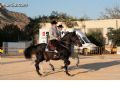 Espectaculo ecuestre - 30 Espectaculo ecuestre - 30