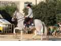Espectaculo ecuestre - 33 Espectaculo ecuestre - 33