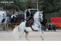 Espectaculo ecuestre - 65 Espectaculo ecuestre - 65
