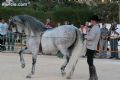 Espectaculo ecuestre - 131 Espectaculo ecuestre - 131