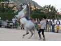 Espectaculo ecuestre - 133 Espectaculo ecuestre - 133