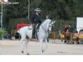 Espectaculo ecuestre - 149 Espectaculo ecuestre - 149