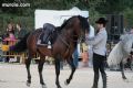 Espectaculo ecuestre - 186 Espectaculo ecuestre - 186