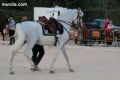 Espectaculo ecuestre - 197 Espectaculo ecuestre - 197