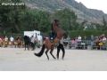 Espectaculo ecuestre - 205 Espectaculo ecuestre - 205