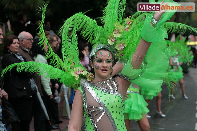 Carnaval 2011 Alhama de Murcia - 305