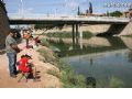 Concurso de Pesca Río Segura - 9 Concurso de Pesca Río Segura - 9