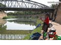 Concurso de Pesca Río Segura - 16 Concurso de Pesca Río Segura - 16