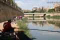 Concurso de Pesca Río Segura - 18 Concurso de Pesca Río Segura - 18