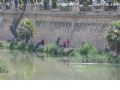 Concurso de Pesca Río Segura - 25 Concurso de Pesca Río Segura - 25