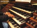 Órgano de la Catedral - 23 Órgano de la Catedral - 23