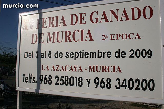 XV Feria de Ganado de Murcia - Feria de Septiembre 2009 - 1