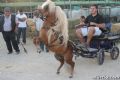 Feria de Ganado - 182 Feria de Ganado - 182