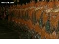 Moros y Cristianos de Murcia - 704 Moros y Cristianos de Murcia - 704