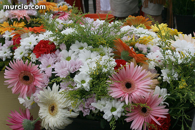 Ofrenda floral y Alarde de arcabucera. Moros y Cristianos 2009 - 6