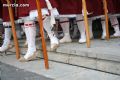 Lunes Santo San Antolín - 158 Lunes Santo San Antolín - 158