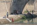 Pesca en el Río Segura - 11 Pesca en el Río Segura - 11