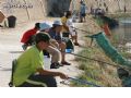 Pesca en el Río Segura - 14 Pesca en el Río Segura - 14