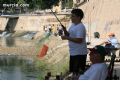 Pesca en el Río Segura - 24 Pesca en el Río Segura - 24