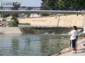 Pesca en el Río Segura - 28 Pesca en el Río Segura - 28