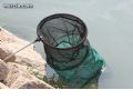 Pesca en el Río Segura - 30 Pesca en el Río Segura - 30