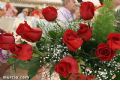 Día de la Rosa - 84 Día de la Rosa - 84