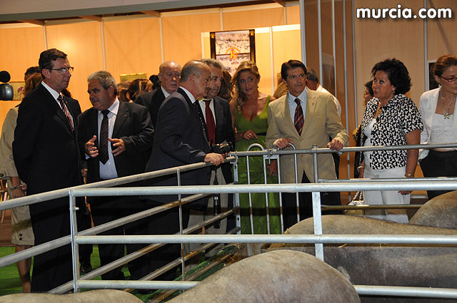Feria de ganado porcino en Lorca SEPOR 2009 - 22