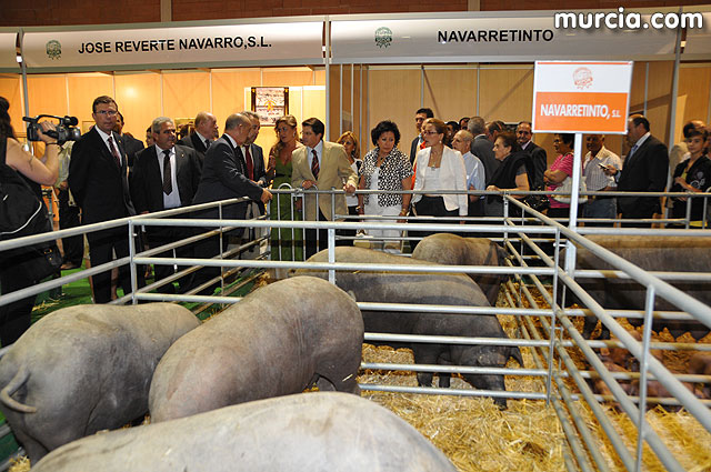 Feria de ganado porcino en Lorca SEPOR 2009 - 23