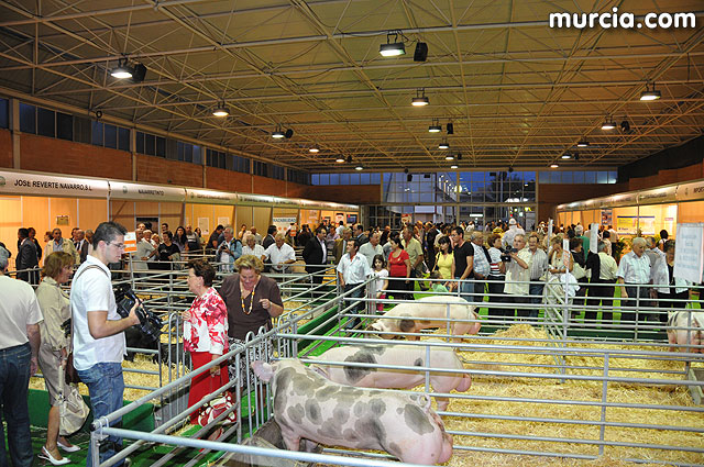 Feria de ganado porcino en Lorca SEPOR 2009 - 32