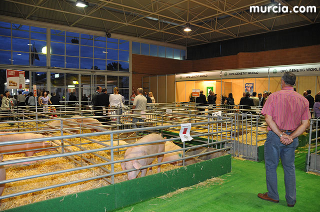 Feria de ganado porcino en Lorca SEPOR 2009 - 36
