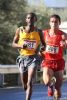 Media Maratón - 34 Media Maratón - 34