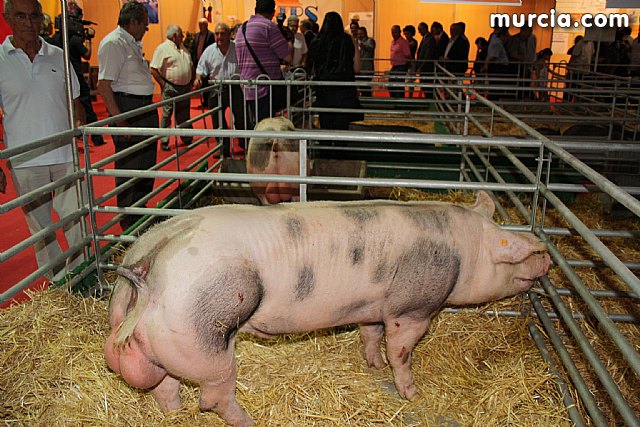 44 Semana Nacional de Ganado Porcino - SEPOR 2011 - 32