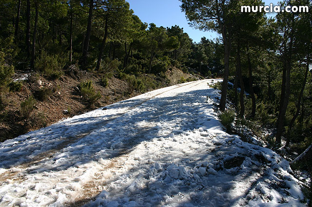 Nieve en Sierra Espuña - 59