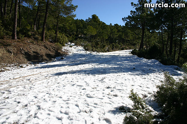 Nieve en Sierra Espuña - 63