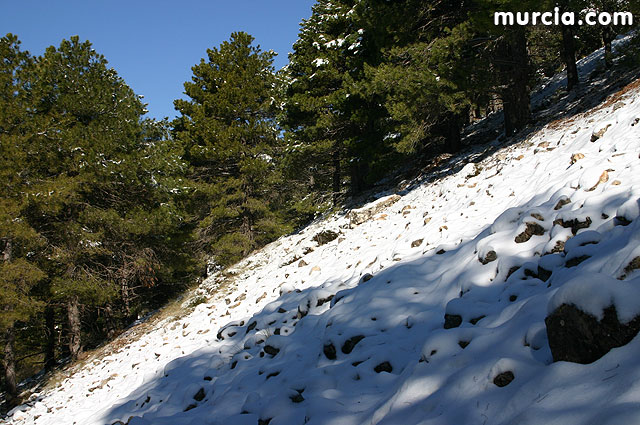 Nieve en Sierra Espuña - 96