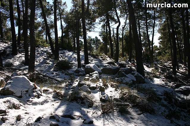 Nieve en Sierra Espuña - 131