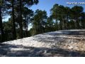 Nieve Sierra Espuña - 22