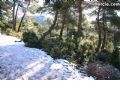 Nieve Sierra Espuña - 32 Nieve Sierra Espuña - 32