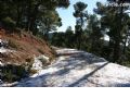 Nieve Sierra Espuña - 39