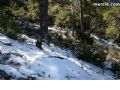 Nieve Sierra Espuña - 41