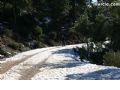 Nieve Sierra Espuña - 51 Nieve Sierra Espuña - 51
