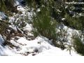 Nieve Sierra Espuña - 53