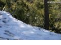 Nieve Sierra Espuña - 55 Nieve Sierra Espuña - 55