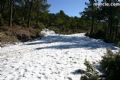 Nieve Sierra Espuña - 63