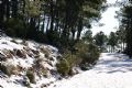 Nieve Sierra Espuña - 69