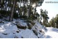 Nieve Sierra Espuña - 74 Nieve Sierra Espuña - 74