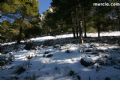Nieve Sierra Espuña - 91