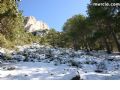 Nieve Sierra Espuña - 103 Nieve Sierra Espuña - 103