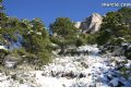 Nieve Sierra Espuña - 113 Nieve Sierra Espuña - 113